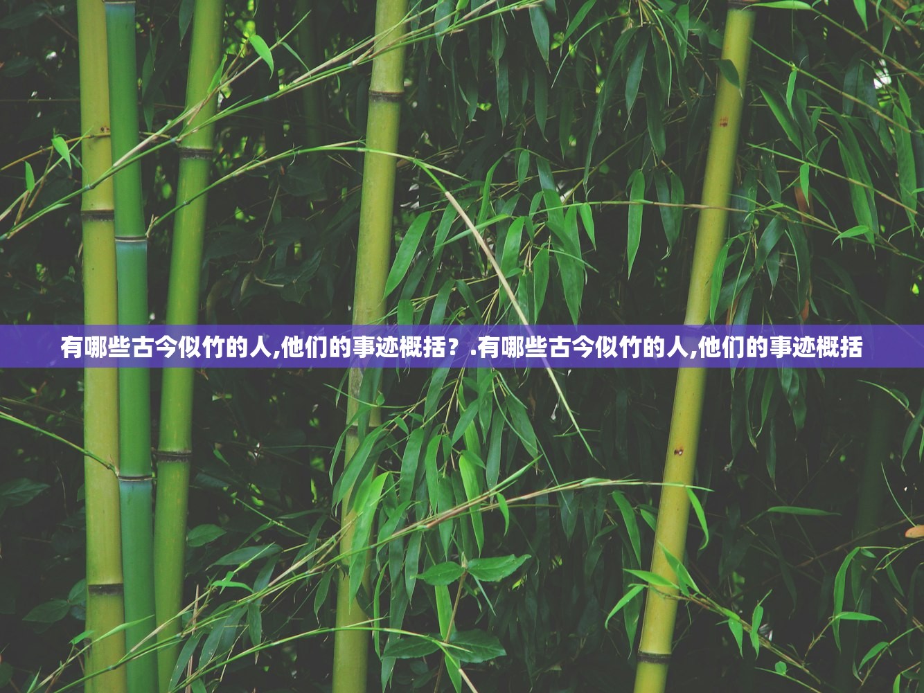 有哪些古今似竹的人,他们的事迹概括?.有哪些古今似竹的人,他们的事迹概括 有哪些古今似竹的人,他们的事迹概括?.有哪些古今似竹的人,他们的事迹概括
