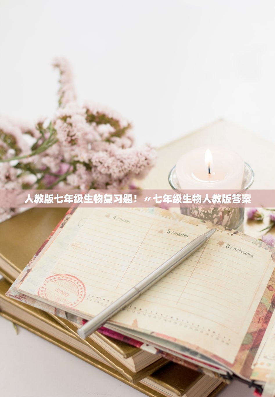 人教版七年级生物复习题!〃七年级生物人教版答案 人教版七年级生物复习题!〃七年级生物人教版答案