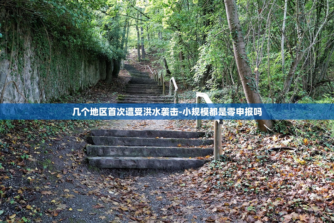 几个地区首次遭受洪水袭击-小规模都是零申报吗 几个地区首次遭受洪水袭击-小规模都是零申报吗