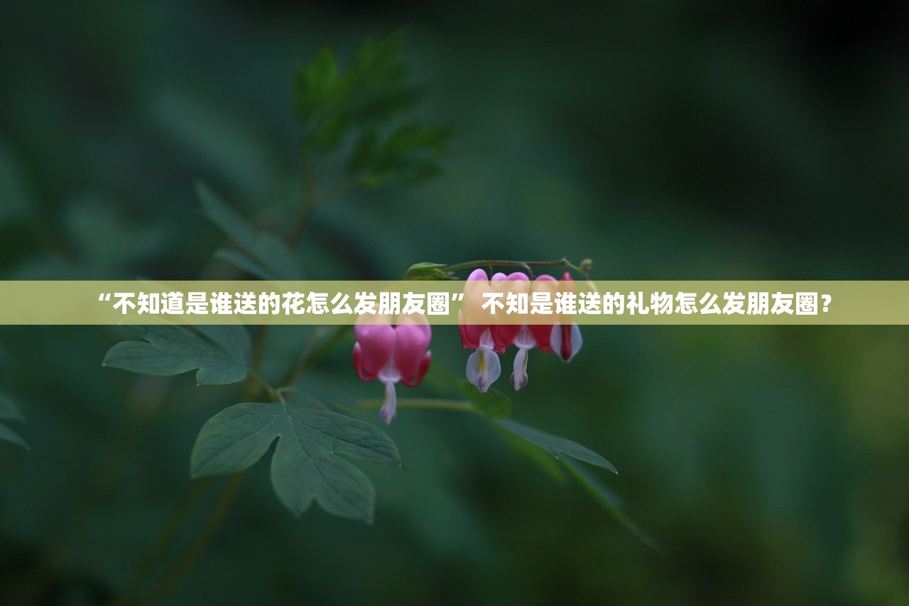“不知道是谁送的花怎么发朋友圈	” 不知是谁送的礼物怎么发朋友圈？