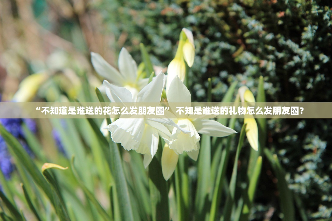 “不知道是谁送的花怎么发朋友圈	” 不知是谁送的礼物怎么发朋友圈？