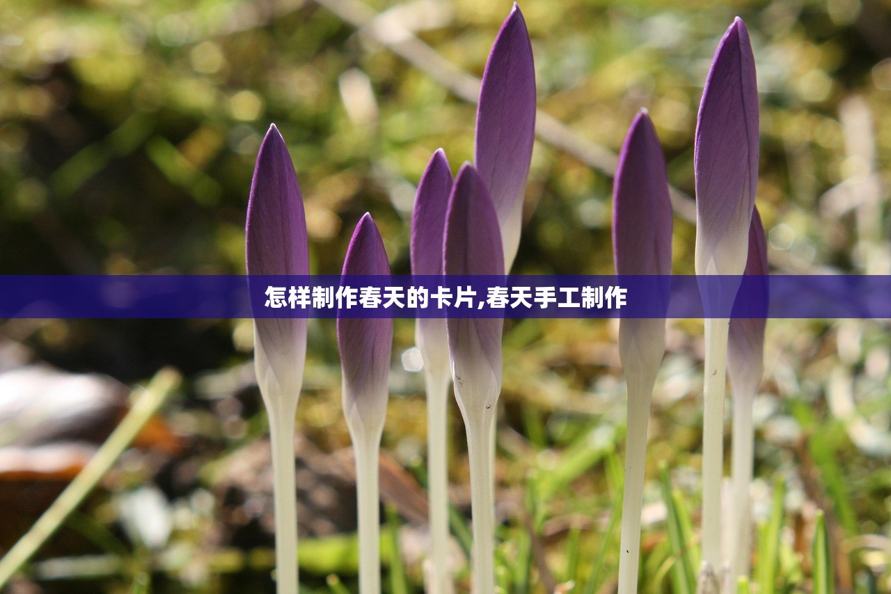 怎样制作春天的卡片,春天手工制作