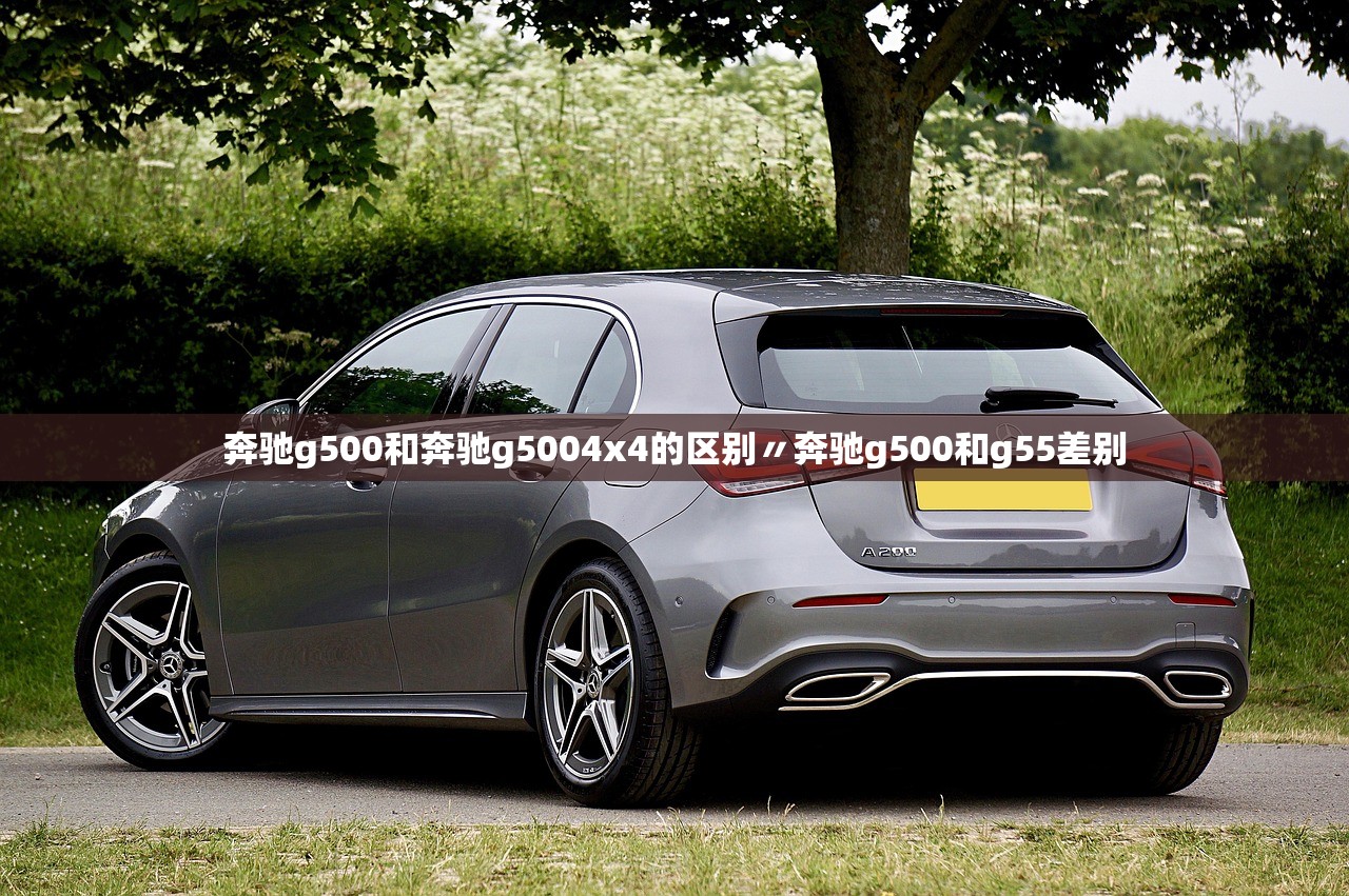 奔驰g500和奔驰g5004x4的区别〃奔驰g500和g55差别 奔驰g500和奔驰g5004x4的区别〃奔驰g500和g55差别