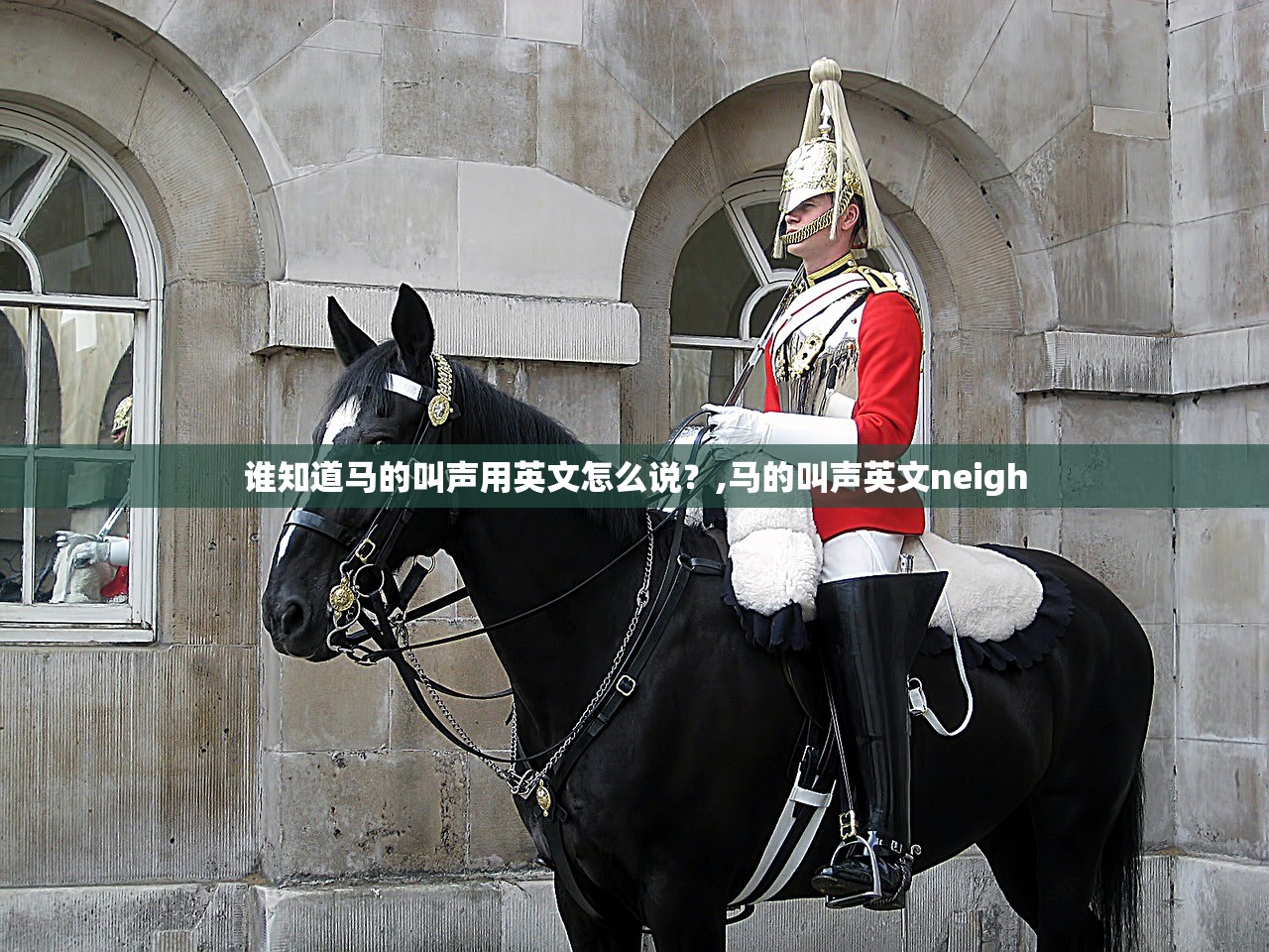 谁知道马的叫声用英文怎么说?,马的叫声英文neigh 谁知道马的叫声用英文怎么说?,马的叫声英文neigh