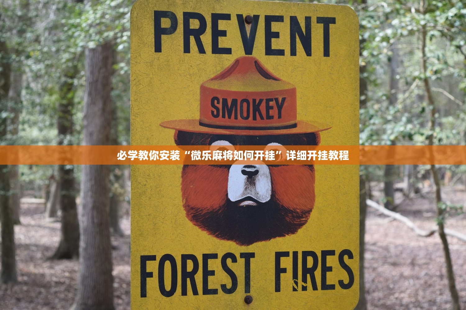 必学教你安装“微乐麻将如何开挂”详细开挂教程