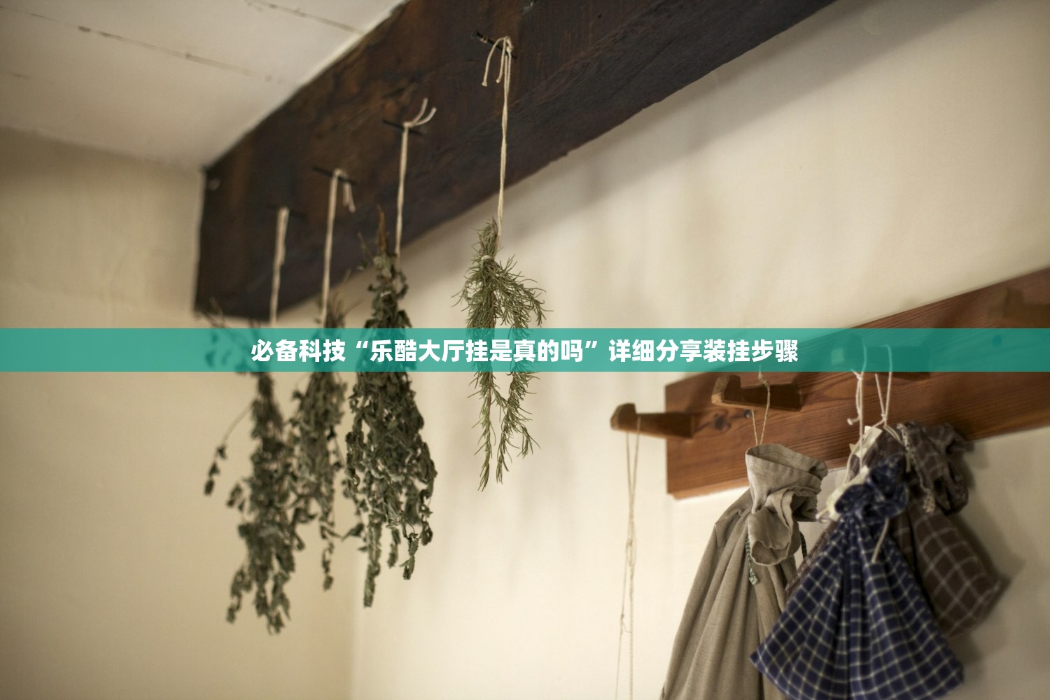 必备科技“乐酷大厅挂是真的吗”详细分享装挂步骤