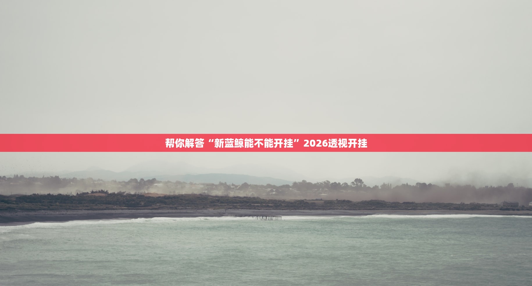 帮你解答“新蓝鲸能不能开挂”2026透视开挂