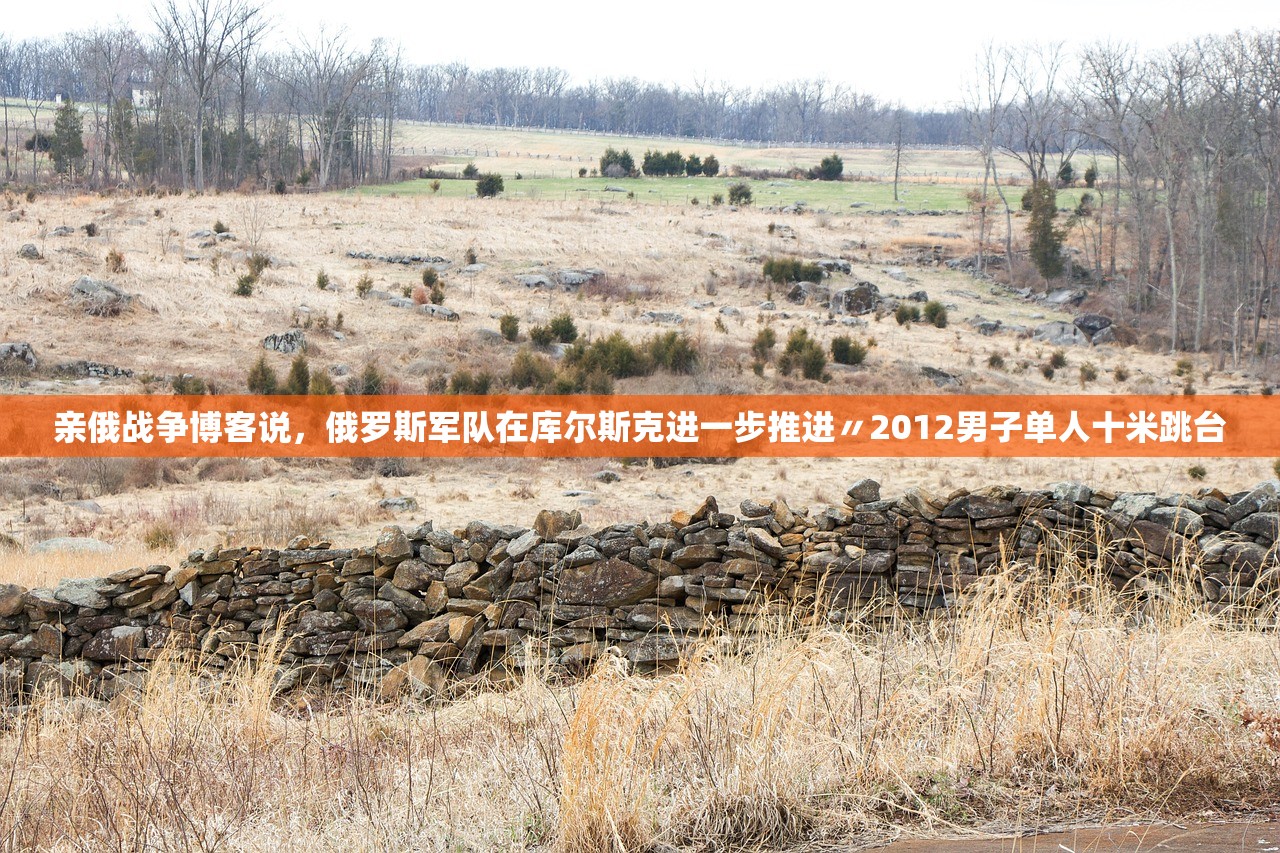 亲俄战争博客说，俄罗斯军队在库尔斯克进一步推进〃2012男子单人十米跳台
