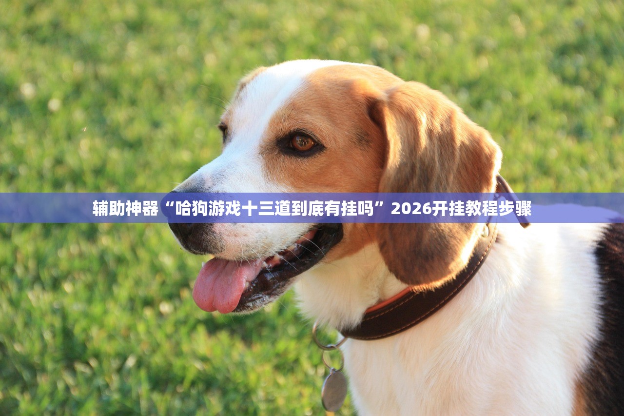 辅助神器“哈狗游戏十三道到底有挂吗”2026开挂教程步骤