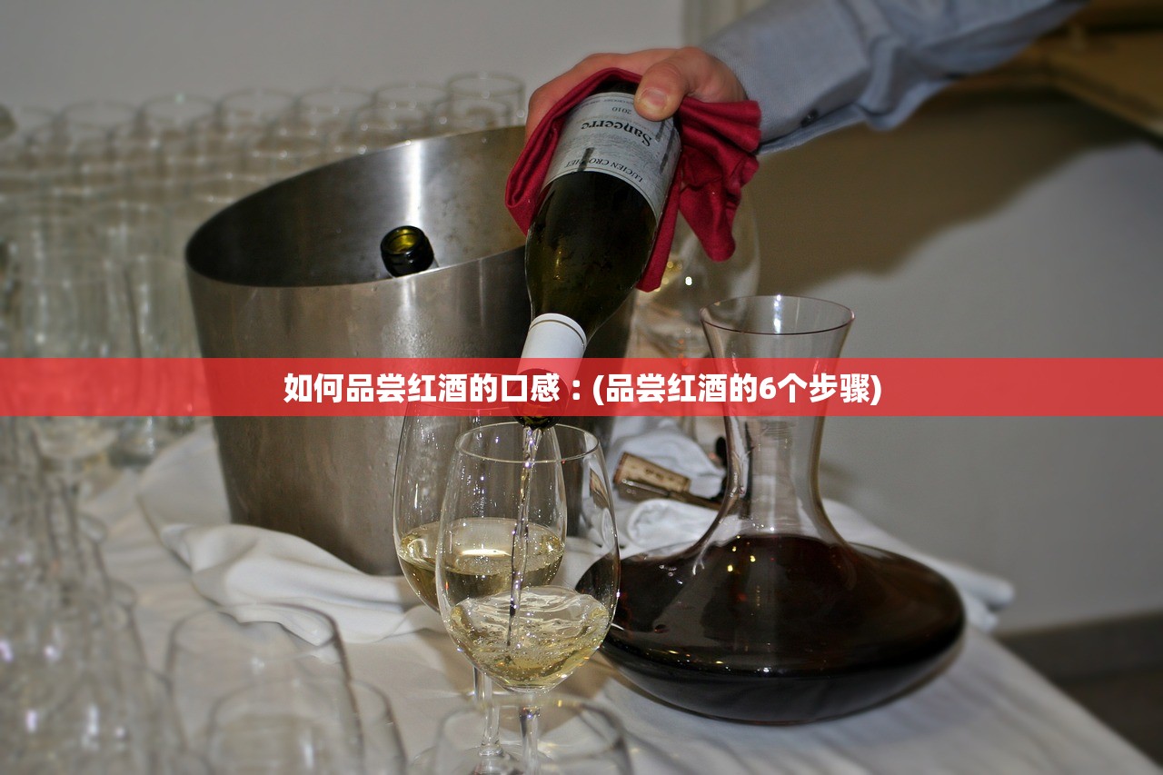 如何品尝红酒的口感︰(品尝红酒的6个步骤)