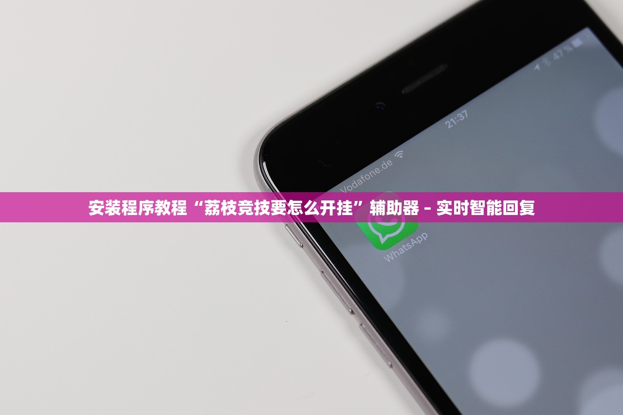 安装程序教程“荔枝竞技要怎么开挂	”辅助器 – 实时智能回复