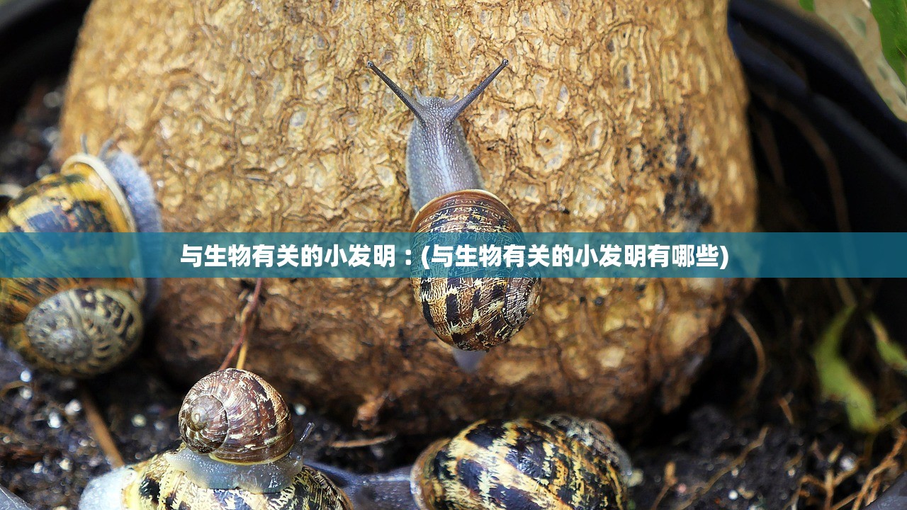 与生物有关的小发明︰(与生物有关的小发明有哪些) 与生物有关的小发明︰(与生物有关的小发明有哪些)