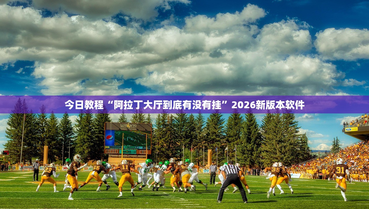 今日教程“阿拉丁大厅到底有没有挂”2026新版本软件
