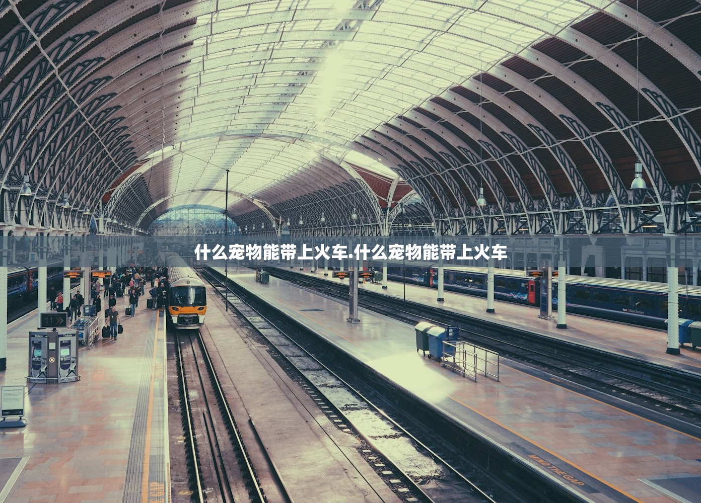 什么宠物能带上火车.什么宠物能带上火车