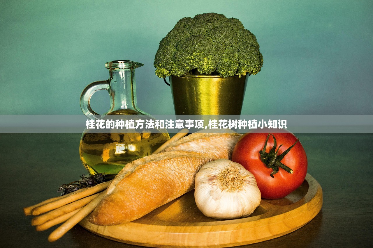 桂花的种植方法和注意事项,桂花树种植小知识