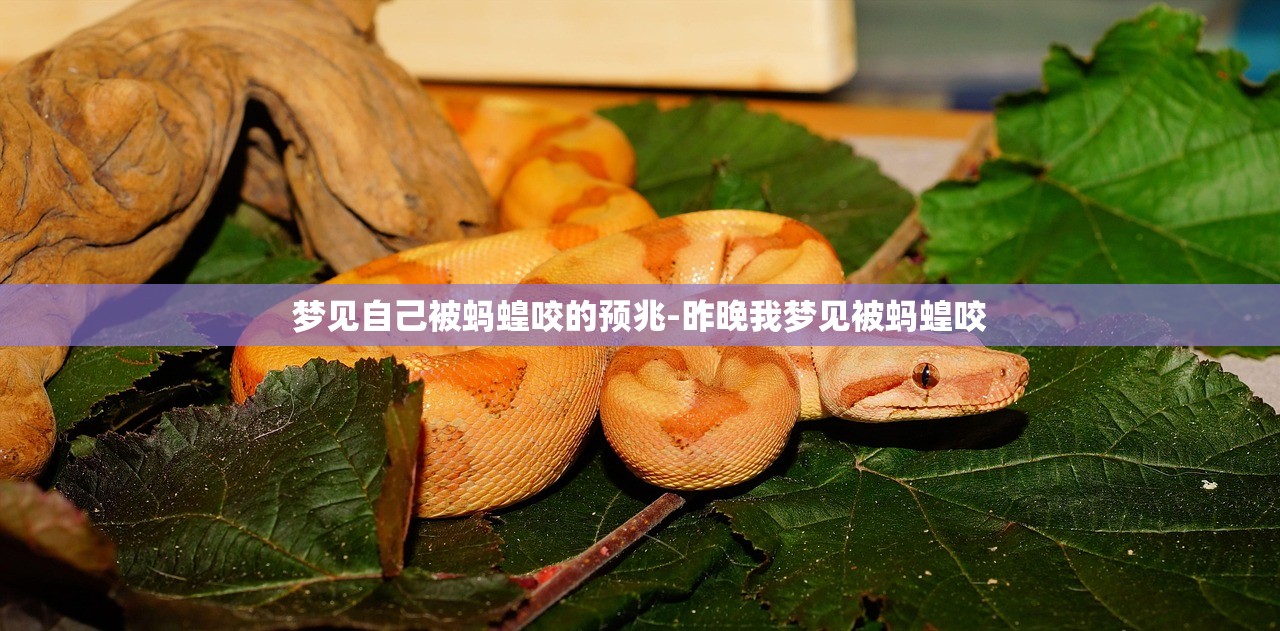 梦见自己被蚂蝗咬的预兆-昨晚我梦见被蚂蝗咬 梦见自己被蚂蝗咬的预兆-昨晚我梦见被蚂蝗咬