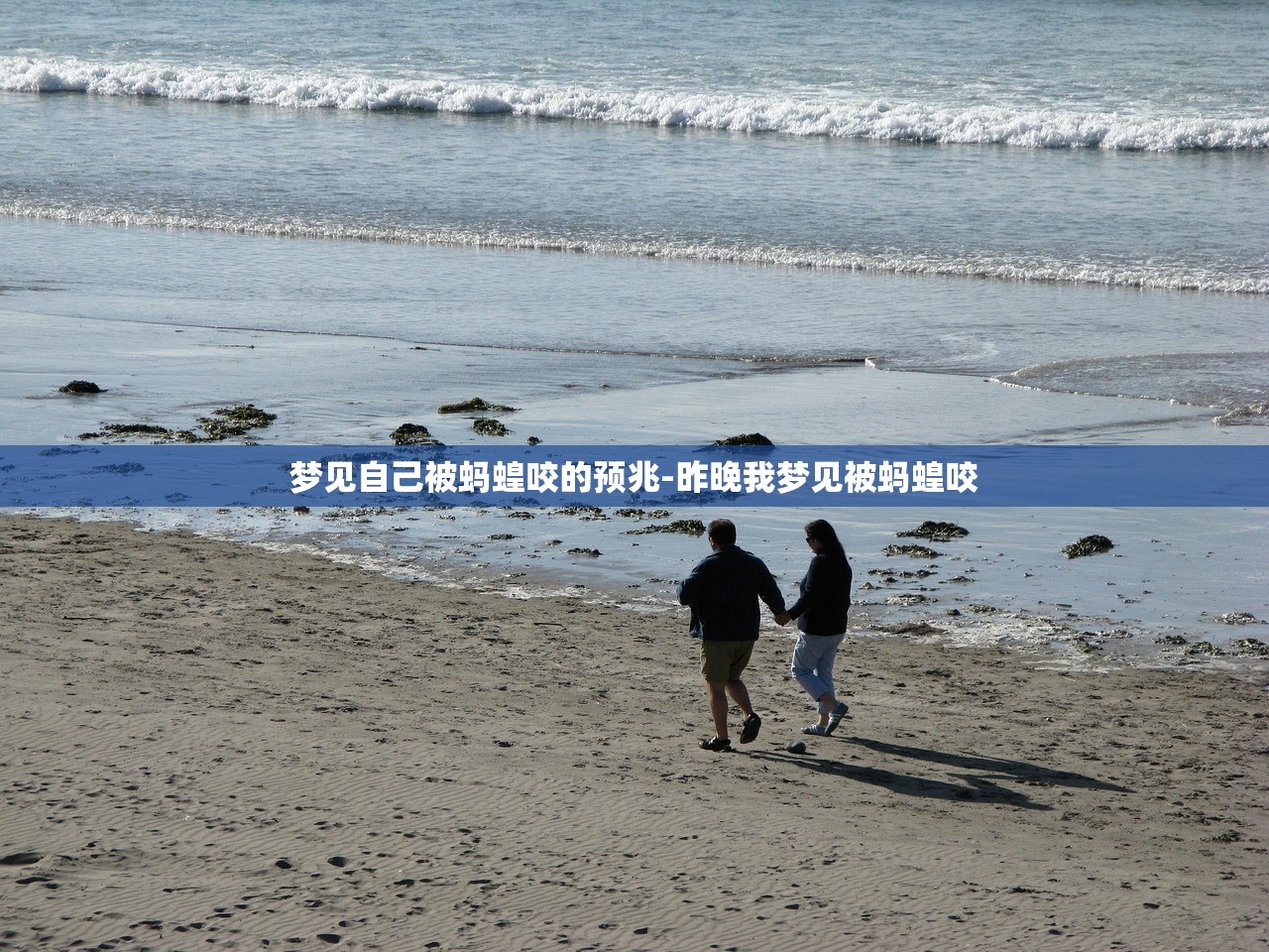 梦见自己被蚂蝗咬的预兆-昨晚我梦见被蚂蝗咬 梦见自己被蚂蝗咬的预兆-昨晚我梦见被蚂蝗咬