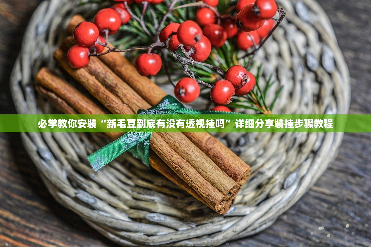 必学教你安装“新毛豆到底有没有透视挂吗	”详细分享装挂步骤教程