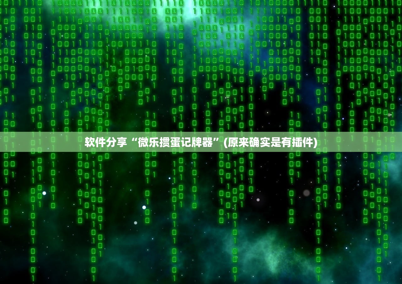 软件分享“微乐掼蛋记牌器”(原来确实是有插件)
