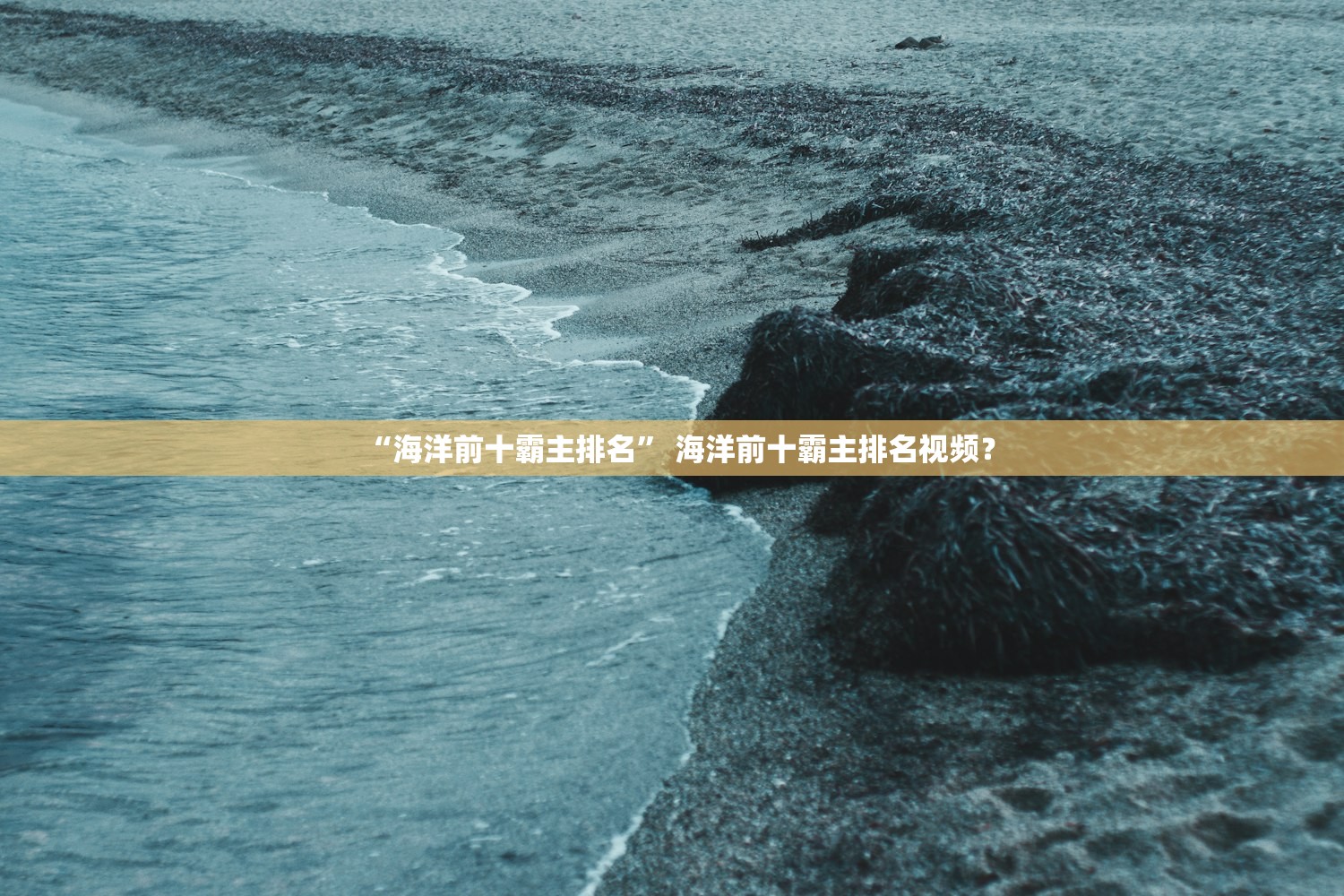 “海洋前十霸主排名” 海洋前十霸主排名视频？