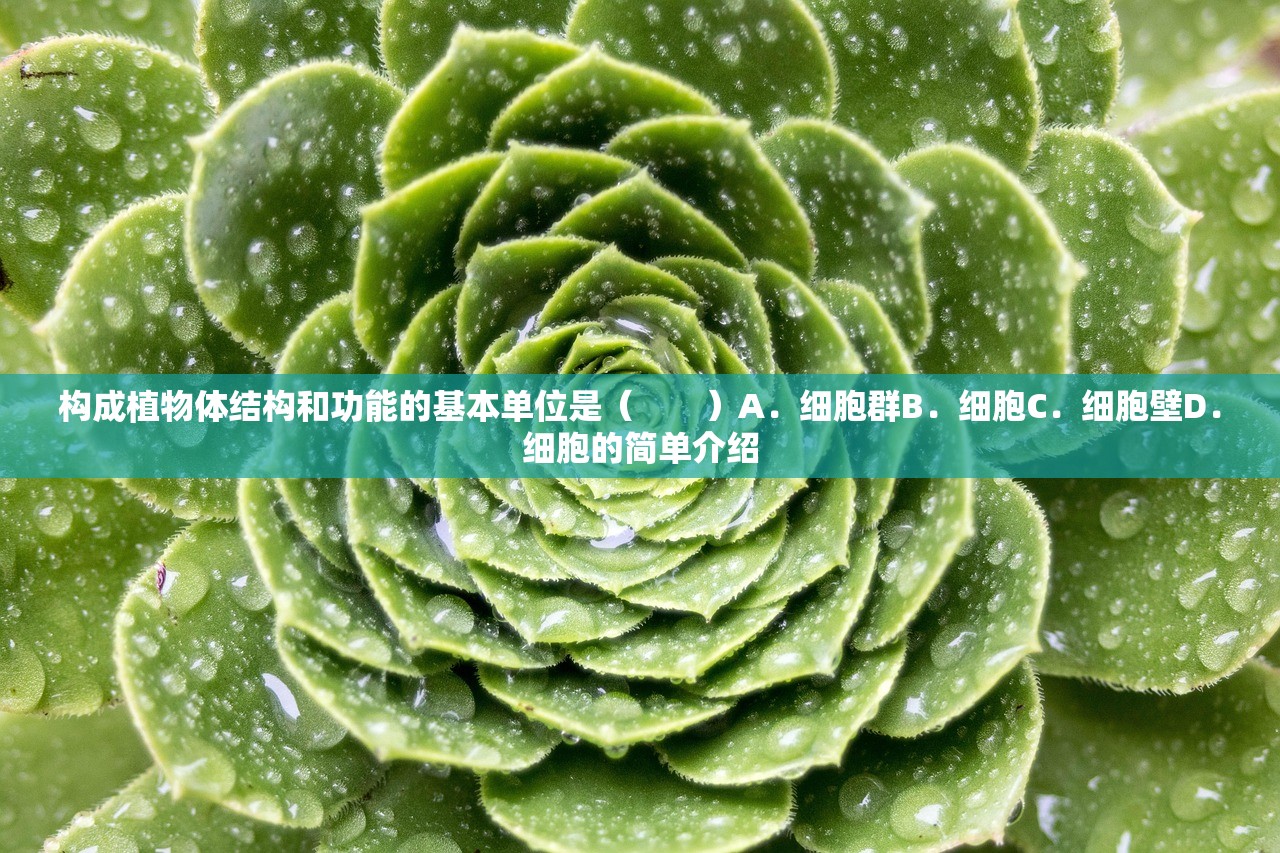 构成植物体结构和功能的基本单位是( )A.细胞群B.细胞C.细胞壁D.细胞的简单介绍 构成植物体结构和功能的基本单位是( )A.细胞群B.细胞C.细胞壁D.细胞的简单介绍