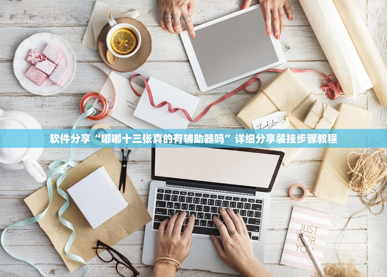 软件分享“嘟嘟十三张真的有辅助器吗	”详细分享装挂步骤教程