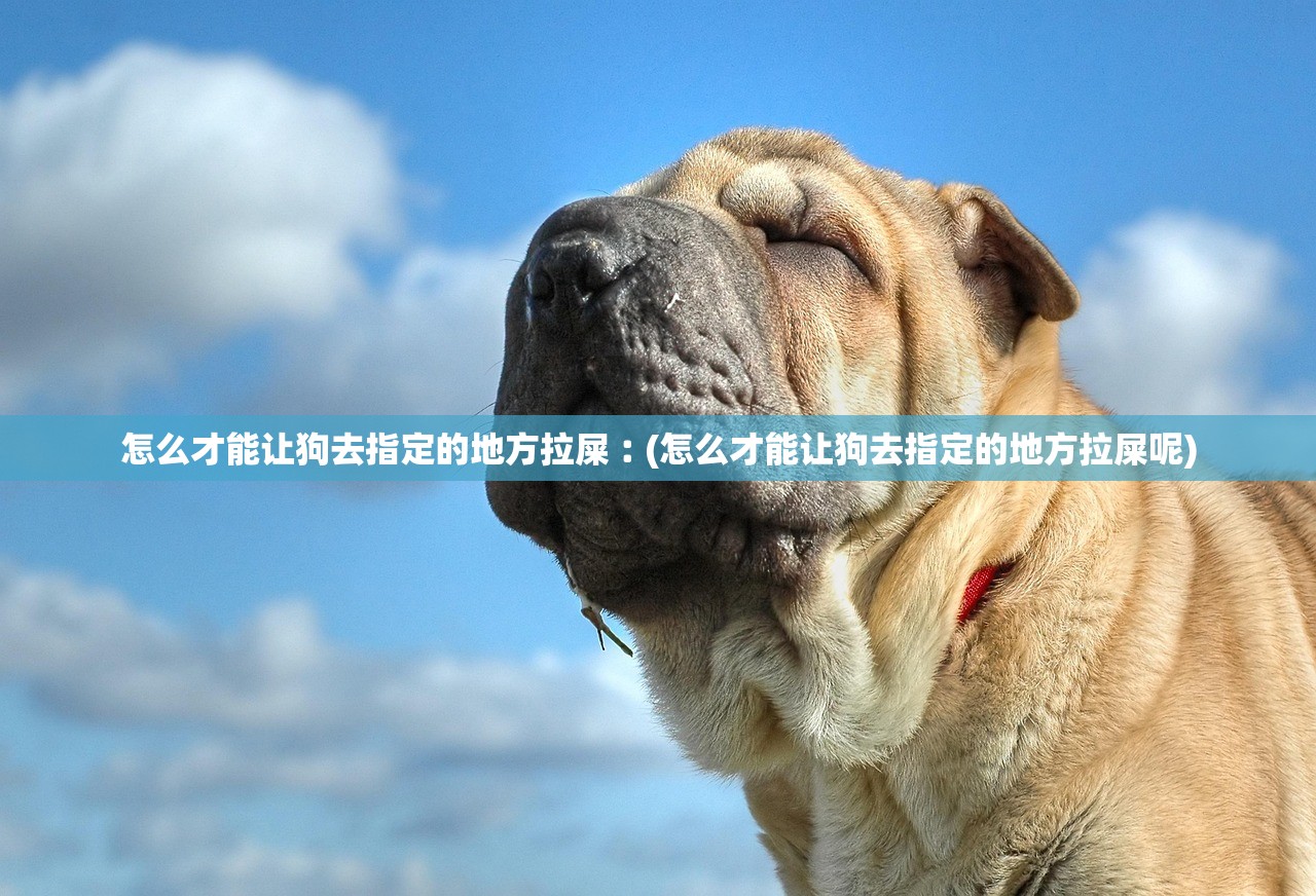 怎么才能让狗去指定的地方拉屎︰(怎么才能让狗去指定的地方拉屎呢)