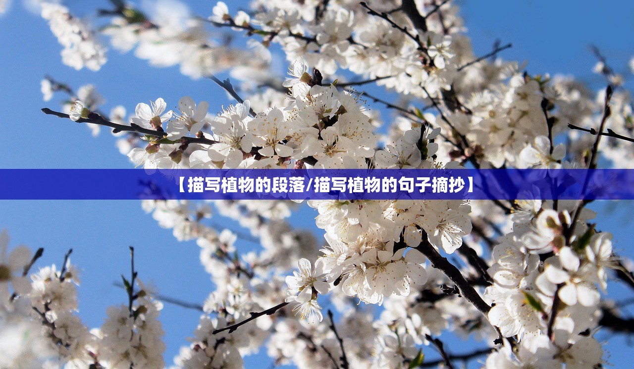 【描写植物的段落/描写植物的句子摘抄】 【描写植物的段落/描写植物的句子摘抄】
