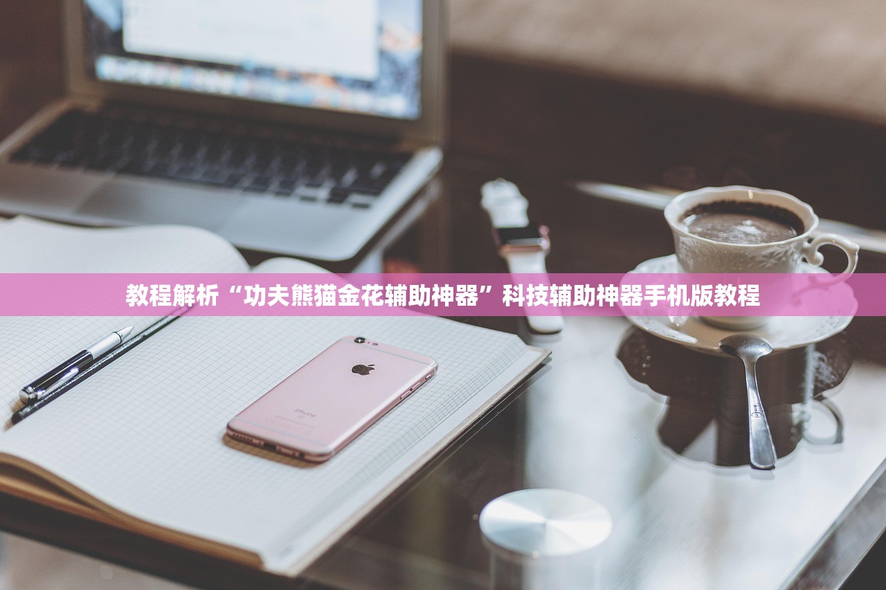 教程解析“功夫熊猫金花辅助神器”科技辅助神器手机版教程