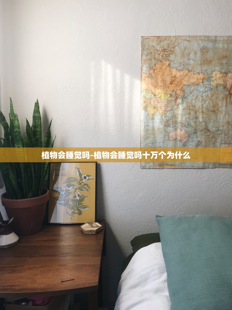 植物会睡觉吗-植物会睡觉吗十万个为什么 植物会睡觉吗-植物会睡觉吗十万个为什么