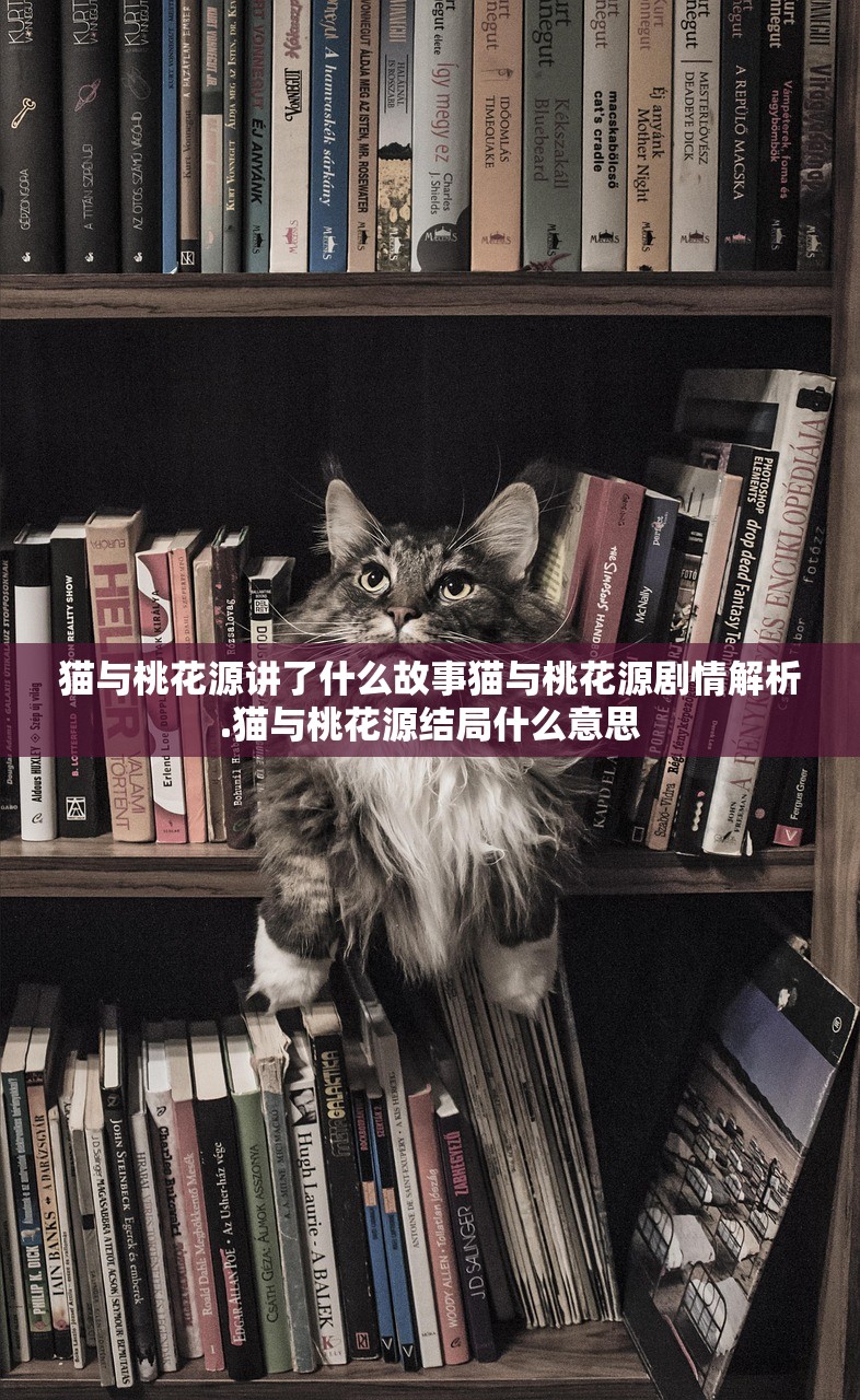 猫与桃花源讲了什么故事猫与桃花源剧情解析.猫与桃花源结局什么意思