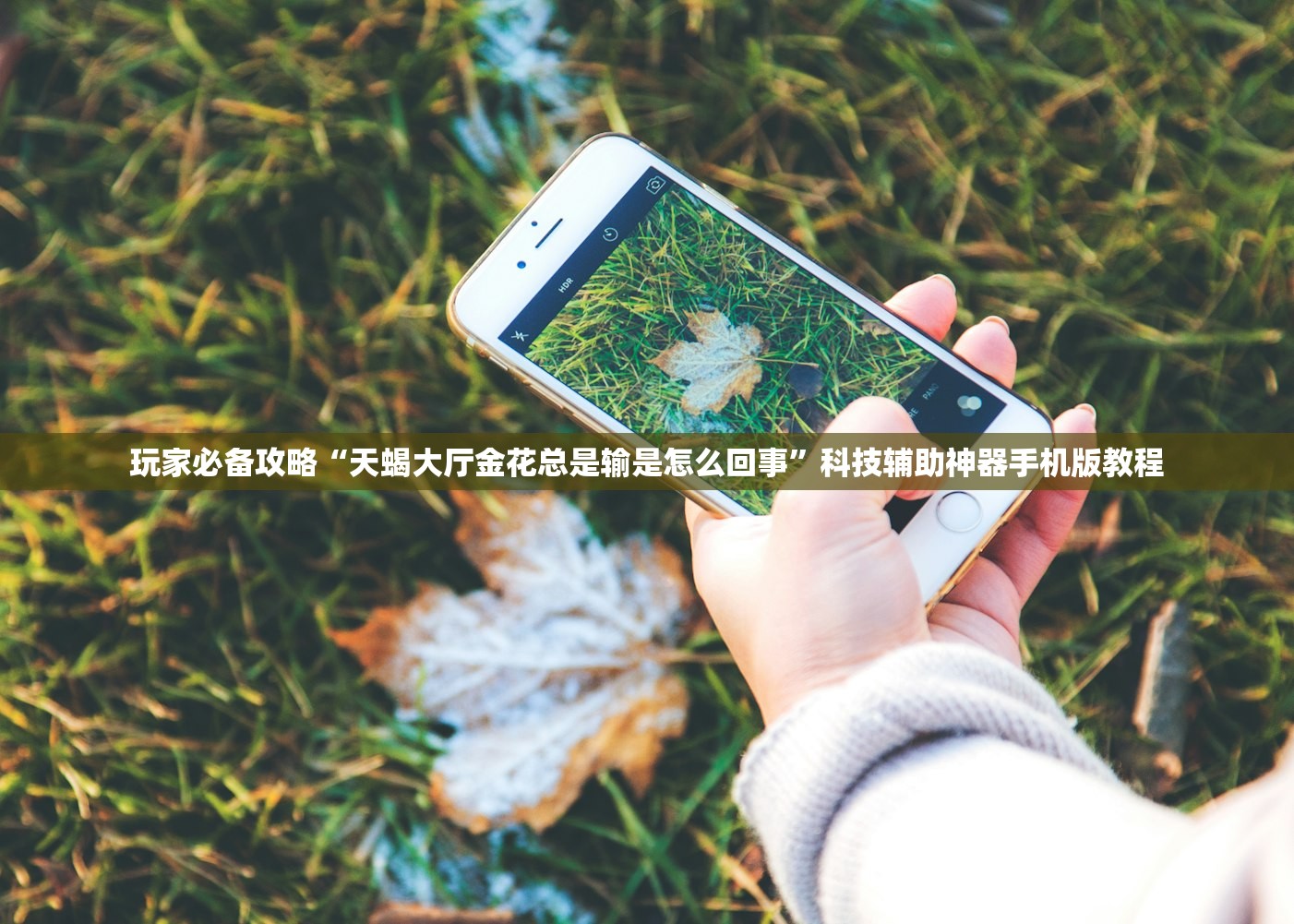 玩家必备攻略“天蝎大厅金花总是输是怎么回事	”科技辅助神器手机版教程