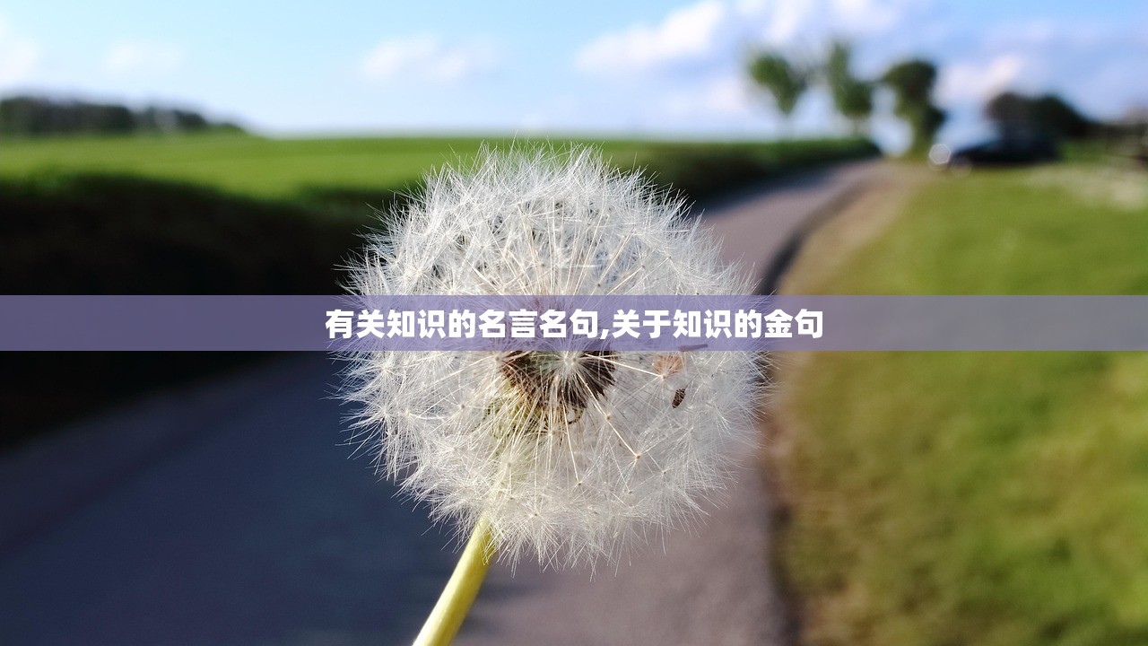 有关知识的名言名句,关于知识的金句 有关知识的名言名句,关于知识的金句