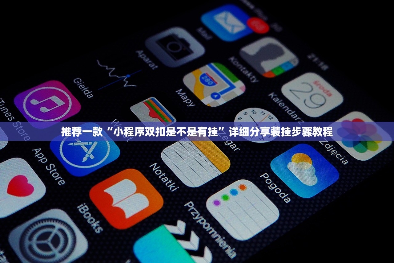 推荐一款“小程序双扣是不是有挂”详细分享装挂步骤教程