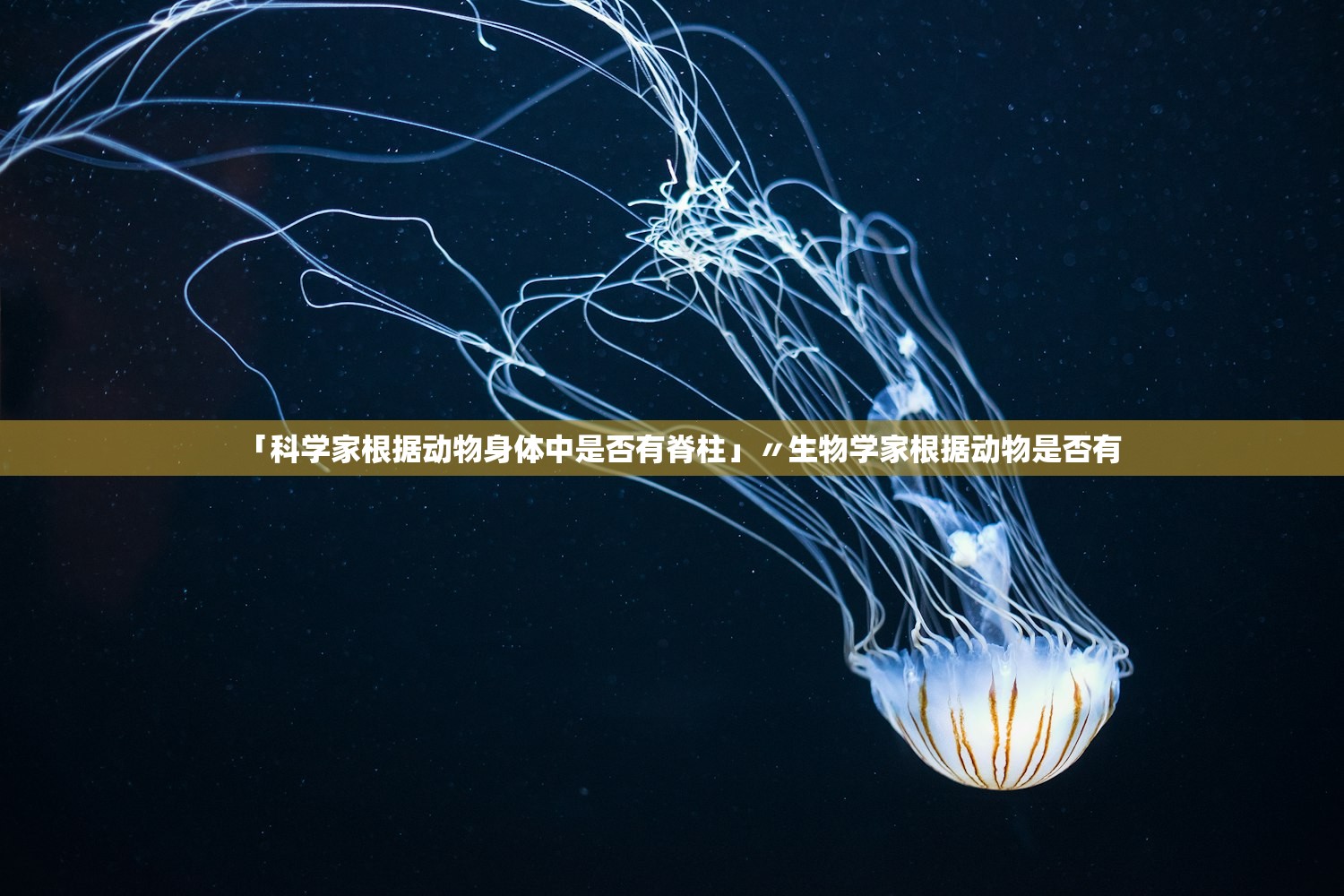 「科学家根据动物身体中是否有脊柱」〃生物学家根据动物是否有 「科学家根据动物身体中是否有脊柱」〃生物学家根据动物是否有