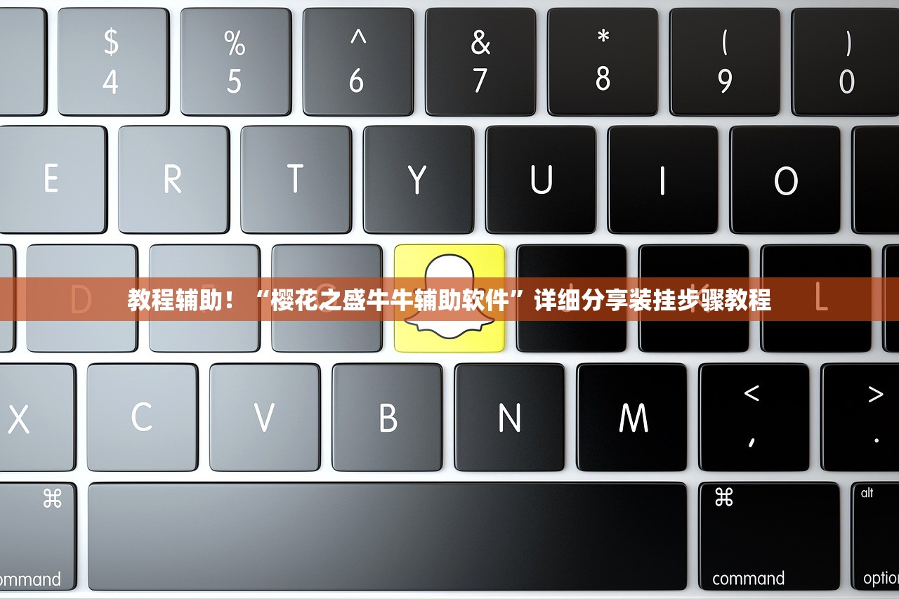 教程辅助！“樱花之盛牛牛辅助软件”详细分享装挂步骤教程