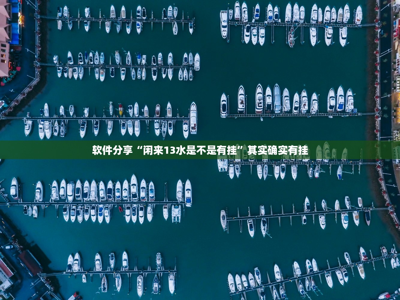 软件分享“闲来13水是不是有挂”其实确实有挂