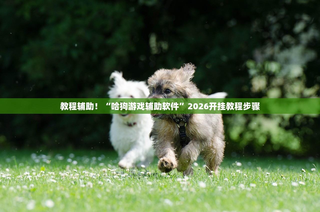 教程辅助！“哈狗游戏辅助软件”2026开挂教程步骤