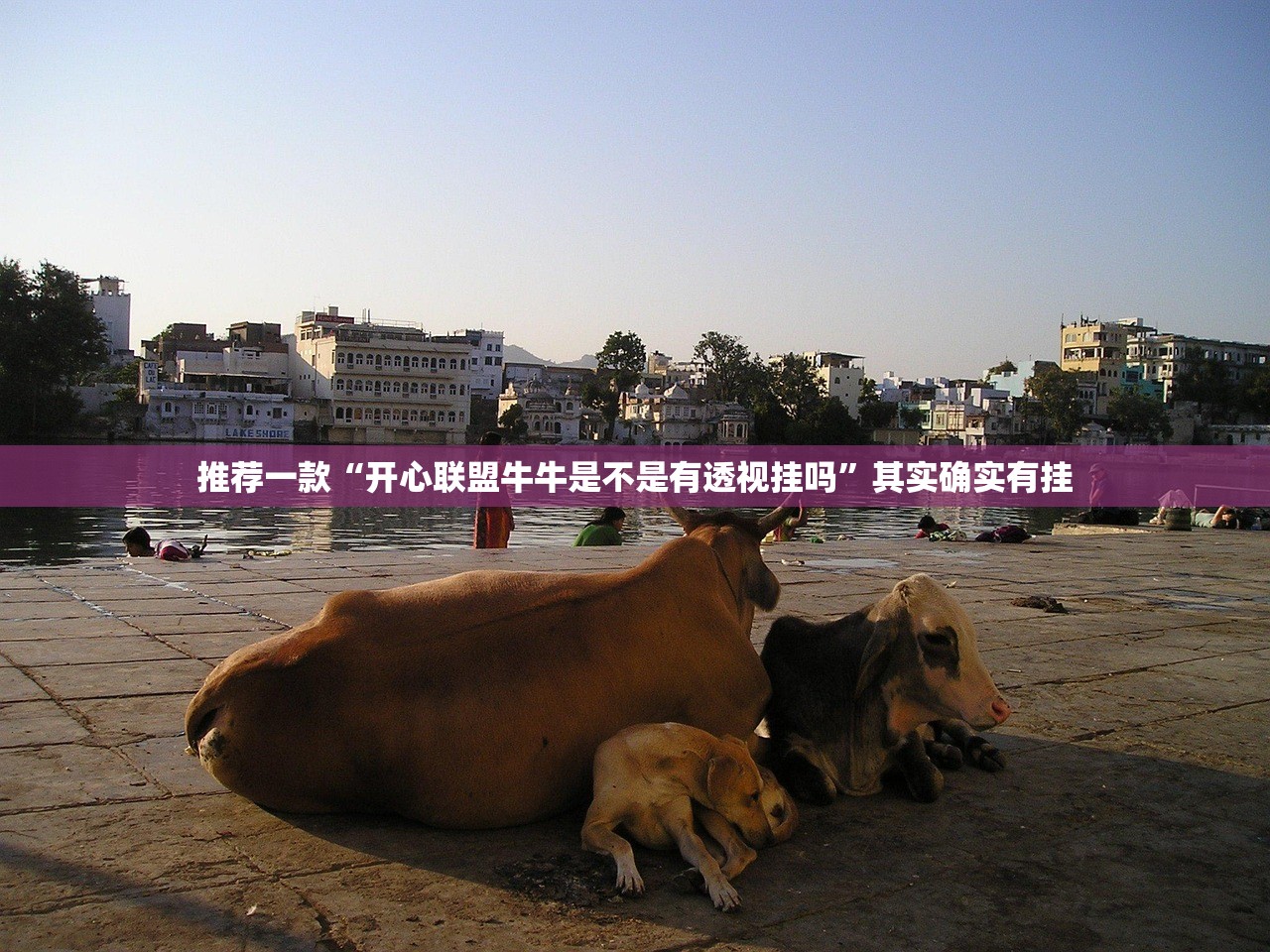 推荐一款“开心联盟牛牛是不是有透视挂吗”其实确实有挂