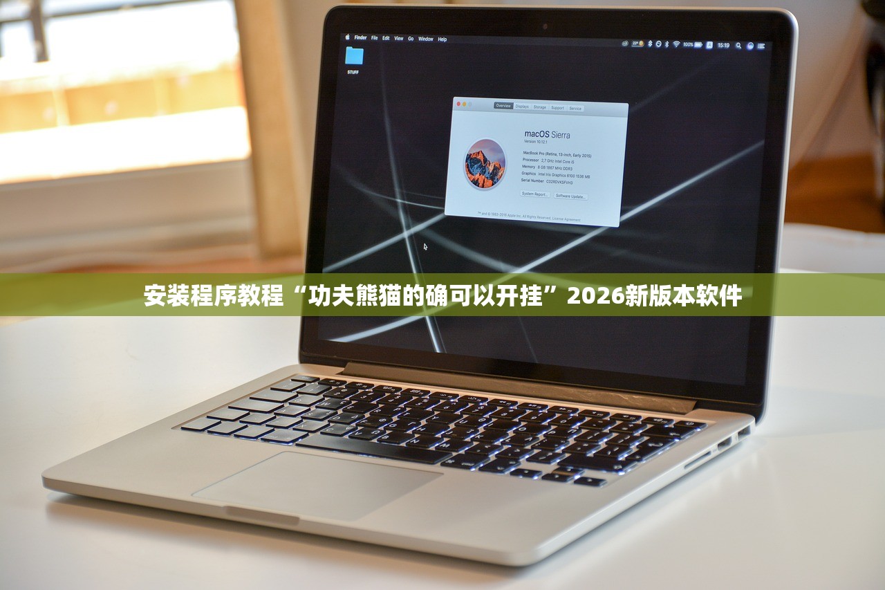 安装程序教程“功夫熊猫的确可以开挂”2026新版本软件