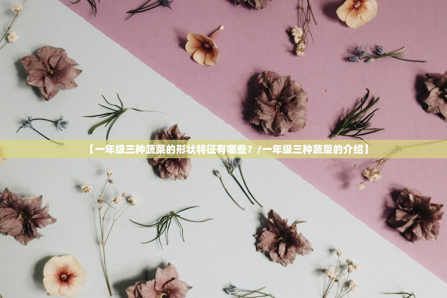 【一年级三种蔬菜的形状特征有哪些?/一年级三种蔬菜的介绍】 【一年级三种蔬菜的形状特征有哪些?/一年级三种蔬菜的介绍】