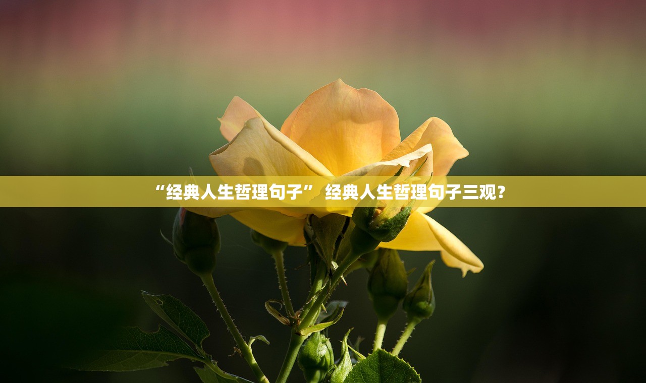 “经典人生哲理句子” 经典人生哲理句子三观？