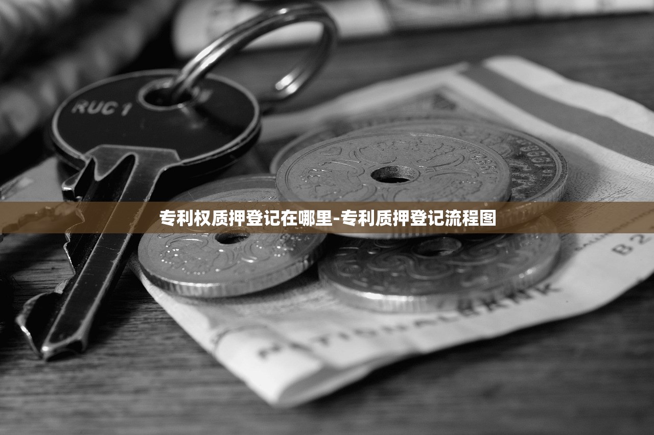 专利权质押登记在哪里-专利质押登记流程图