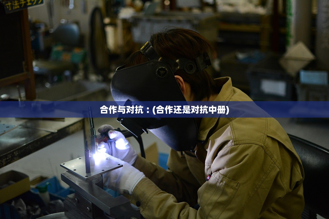 合作与对抗︰(合作还是对抗中册) 合作与对抗︰(合作还是对抗中册)