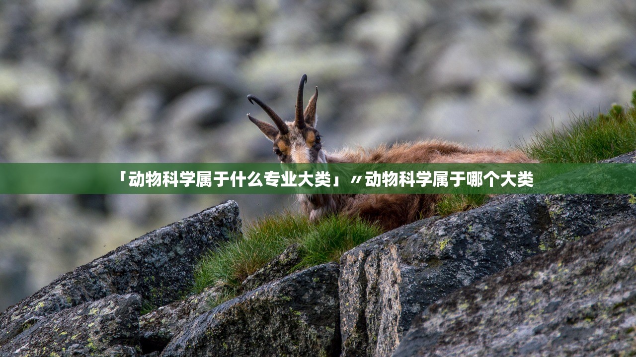 「动物科学属于什么专业大类」〃动物科学属于哪个大类