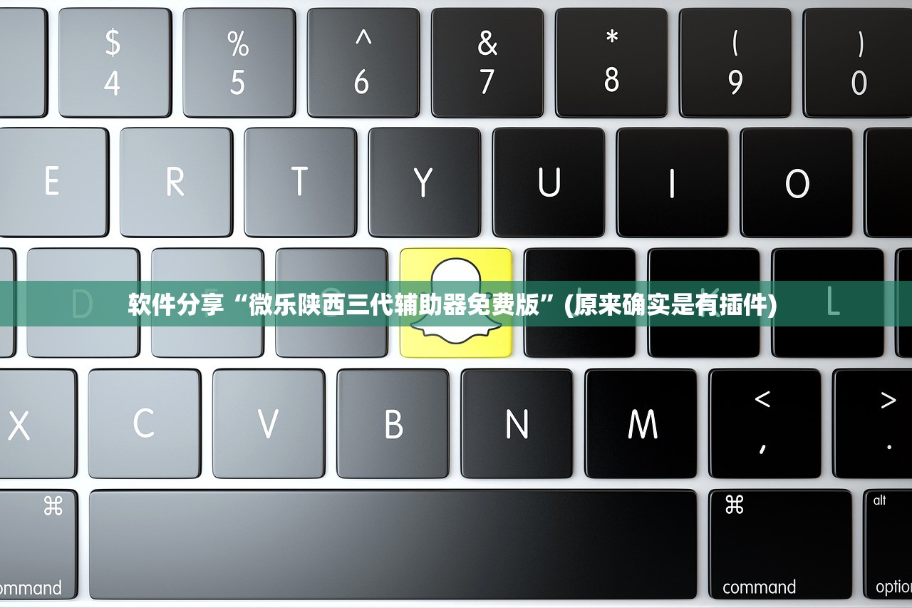 软件分享“微乐陕西三代辅助器免费版	”(原来确实是有插件) 