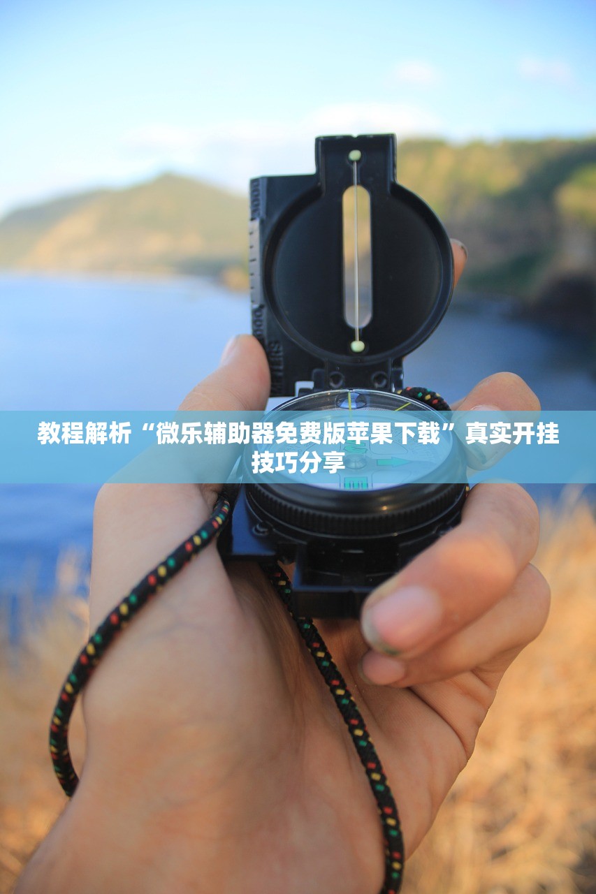 教程解析“微乐辅助器免费版苹果下载”真实开挂技巧分享