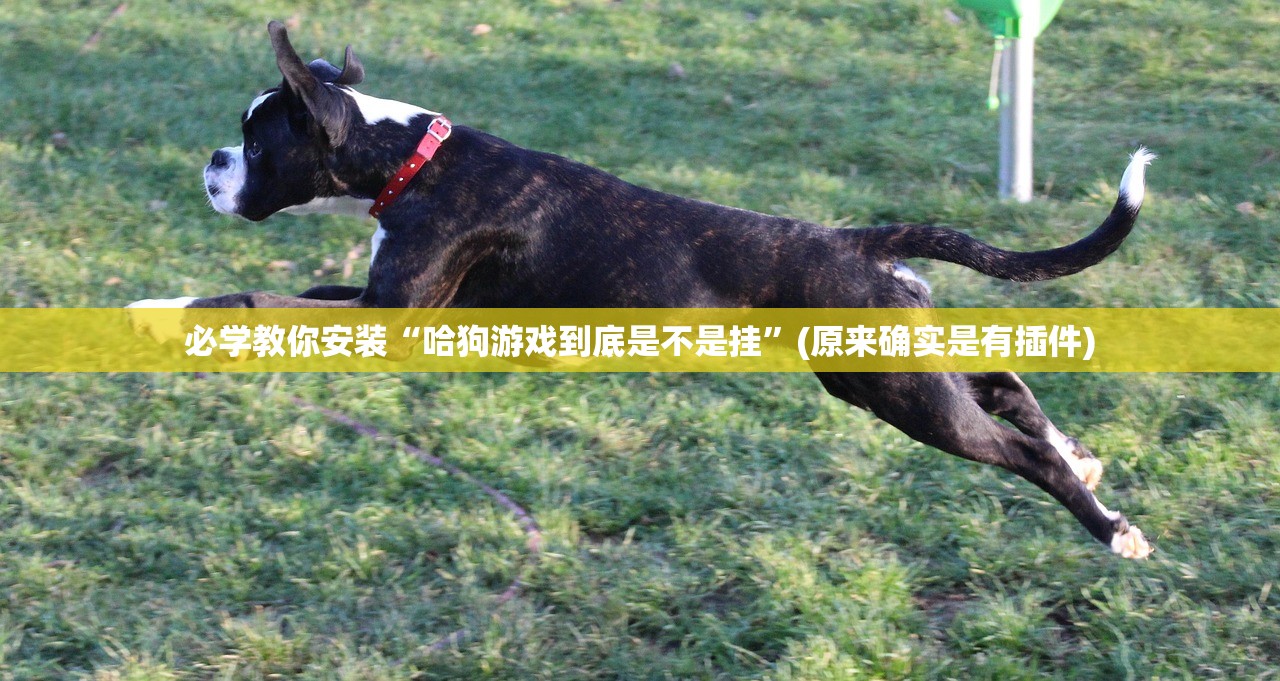 必学教你安装“哈狗游戏到底是不是挂”(原来确实是有插件)