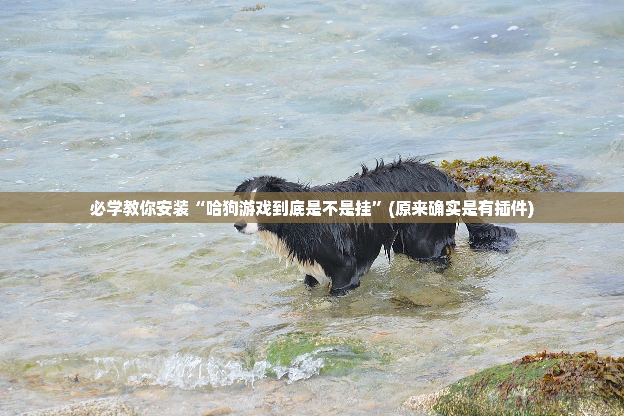 必学教你安装“哈狗游戏到底是不是挂”(原来确实是有插件)