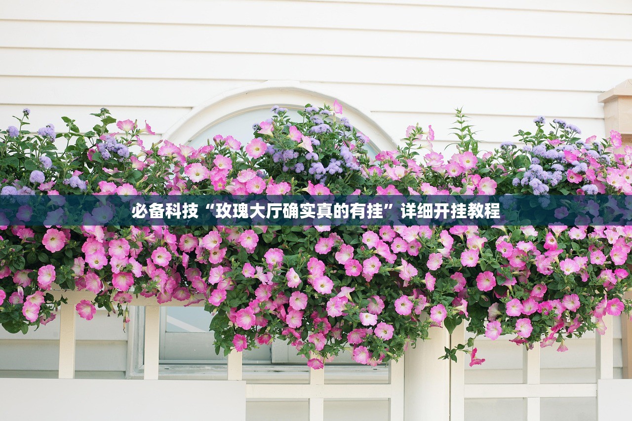 必备科技“玫瑰大厅确实真的有挂”详细开挂教程